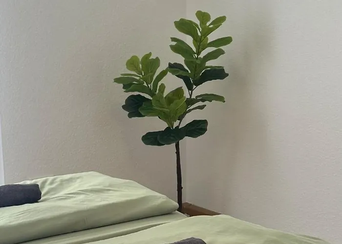 Apartment 3 Altbau Naehe Hochschule Mit Garten *